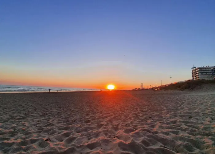 Sj710-020 - 2 Pieces 5 Couchages - Saint Jean De Monts *